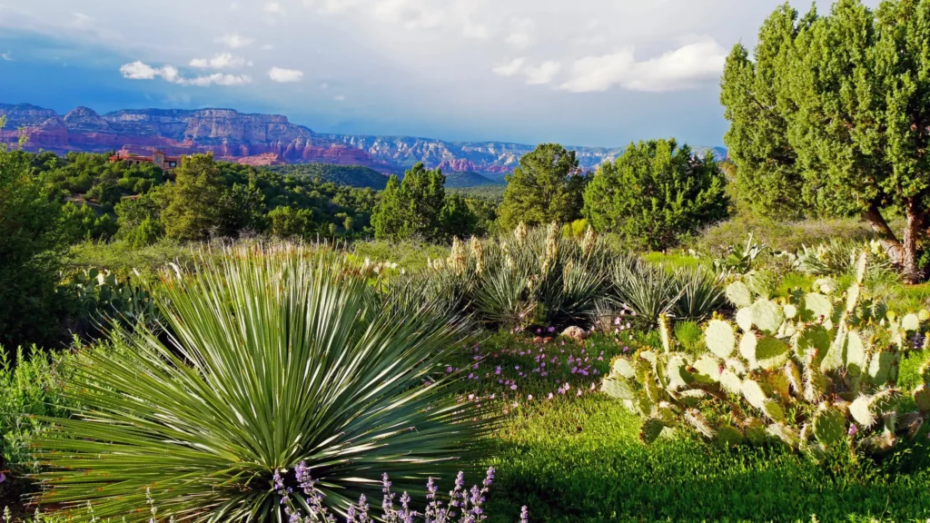 Sedona-Mogollon-Rim-monsoon-clouds